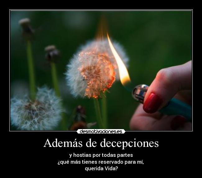 carteles mala suerte acosa constantemente desmotivaciones