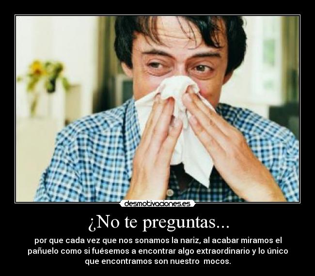 ¿No te preguntas... - por que cada vez que nos sonamos la nariz, al acabar miramos el
pañuelo como si fuésemos a encontrar algo extraordinario y lo único
que encontramos son nuestro mocos.