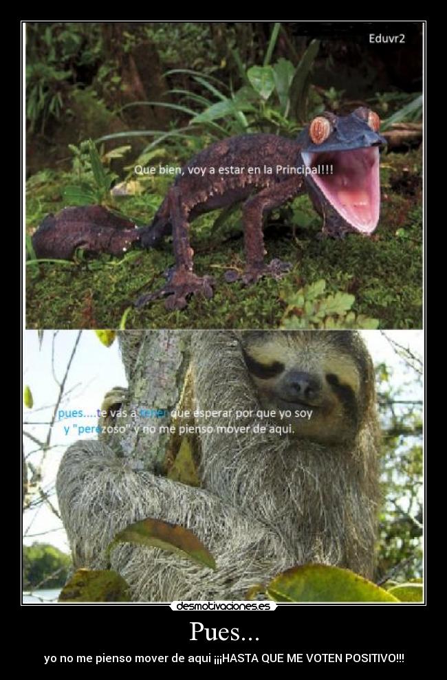 Pues... - yo no me pienso mover de aqui ¡¡¡HASTA QUE ME VOTEN POSITIVO!!!