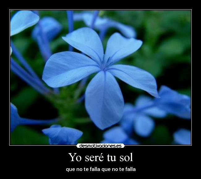 Yo seré tu sol - que no te falla que no te falla