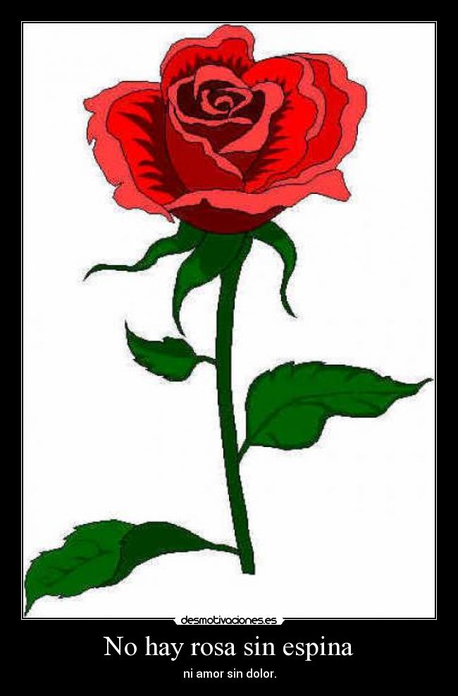 No hay rosa sin espina Desmotivaciones
