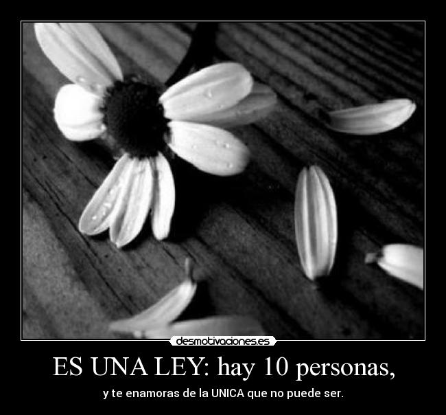ES UNA LEY: hay 10 personas, - y te enamoras de la UNICA que no puede ser.