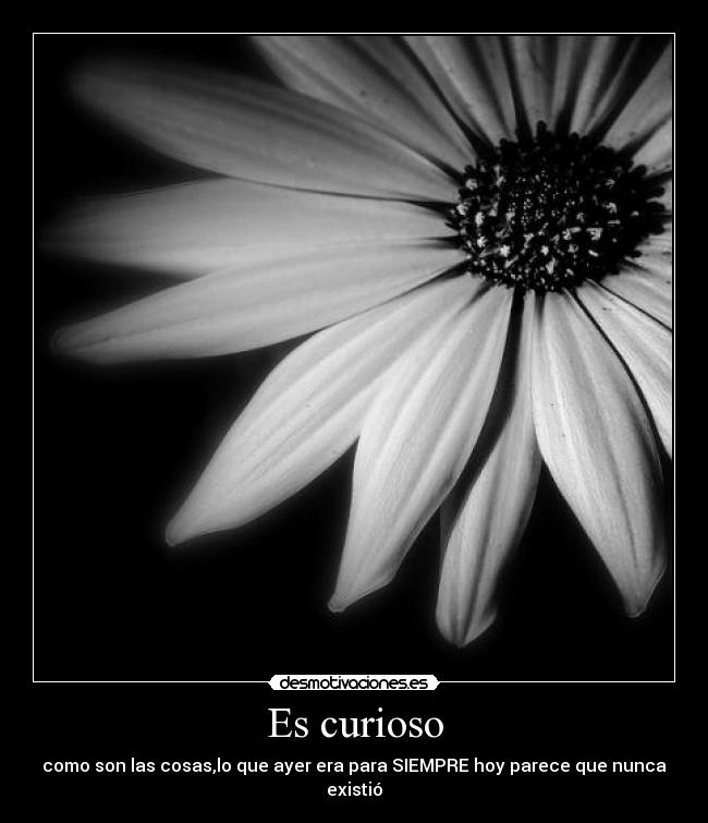 Es curioso - como son las cosas,lo que ayer era para SIEMPRE hoy parece que nunca existió