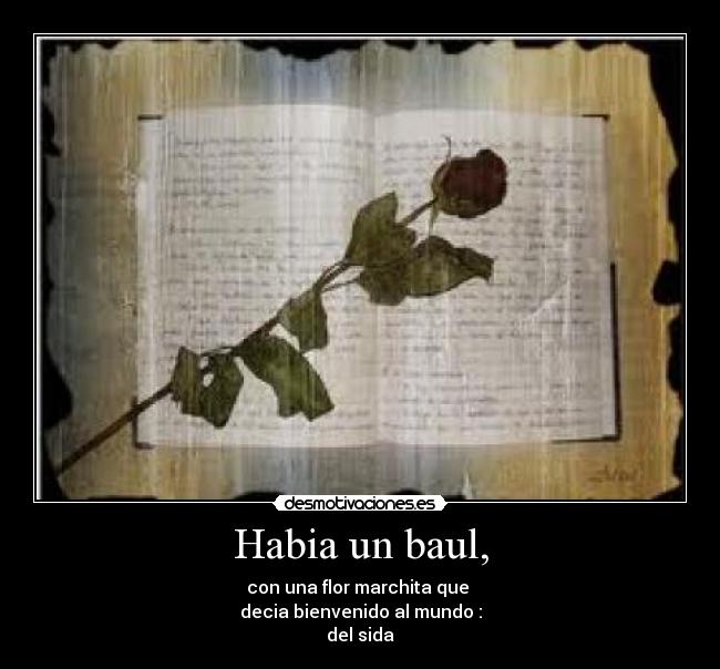 carteles sara sariita desmotivaciones