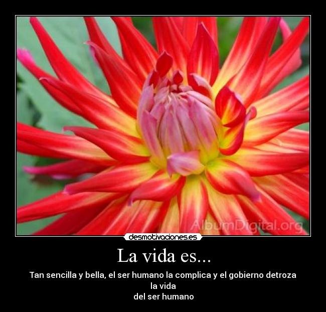 La vida es... - Tan sencilla y bella, el ser humano la complica y el gobierno detroza la vida
del ser humano