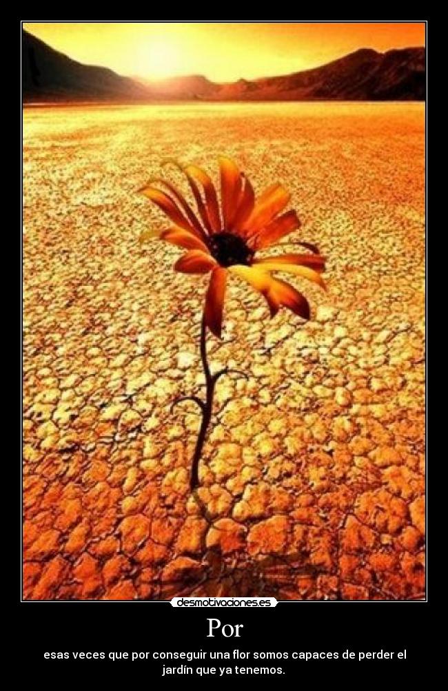 Por - esas veces que por conseguir una flor somos capaces de perder el
jardín que ya tenemos.