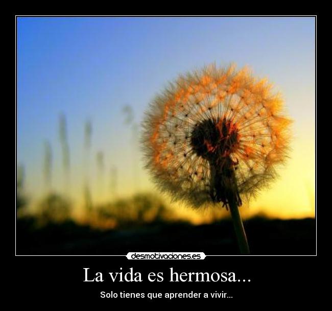 La vida es hermosa... - 
