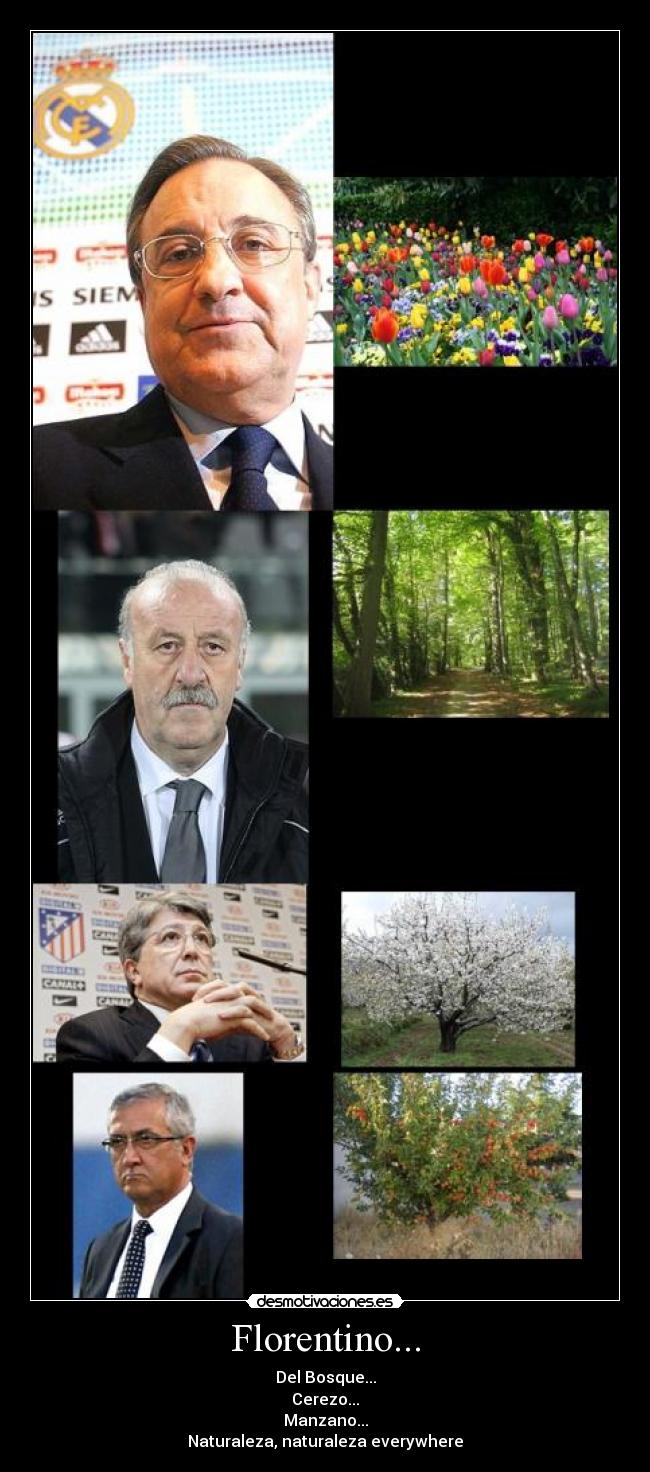 Florentino... - Del Bosque...
Cerezo...
Manzano...
Naturaleza, naturaleza everywhere