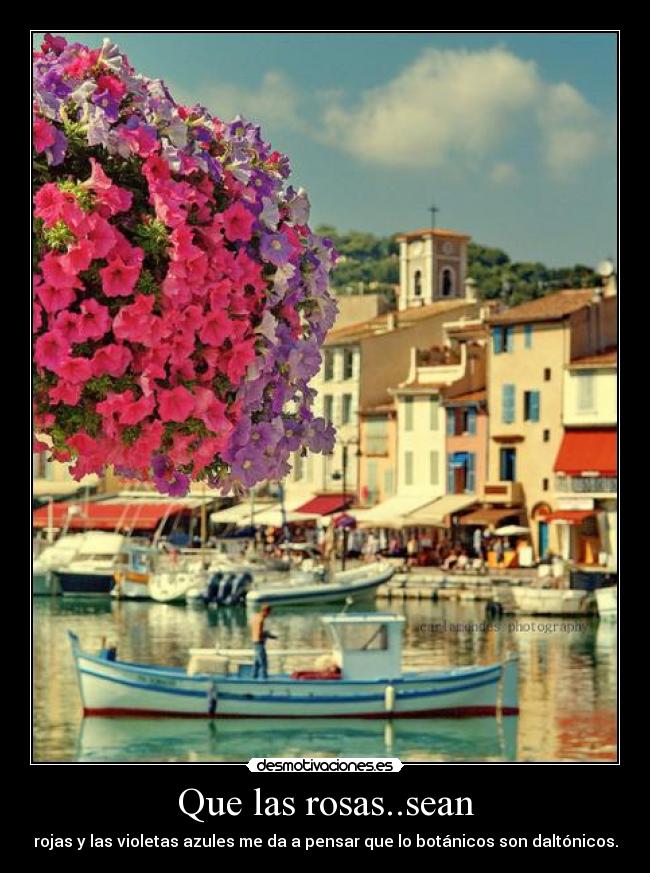 Que las rosas..sean -