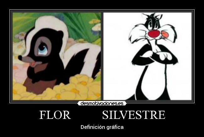 FLOR SILVESTRE - Definición gráfica