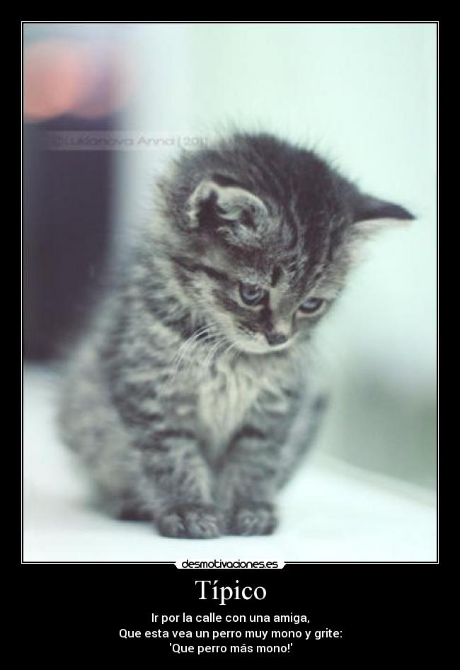 Típico - Ir por la calle con una amiga,
Que esta vea un perro muy mono y grite:
Que perro más mono!