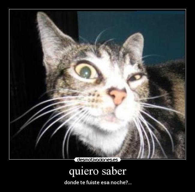 quiero saber -
