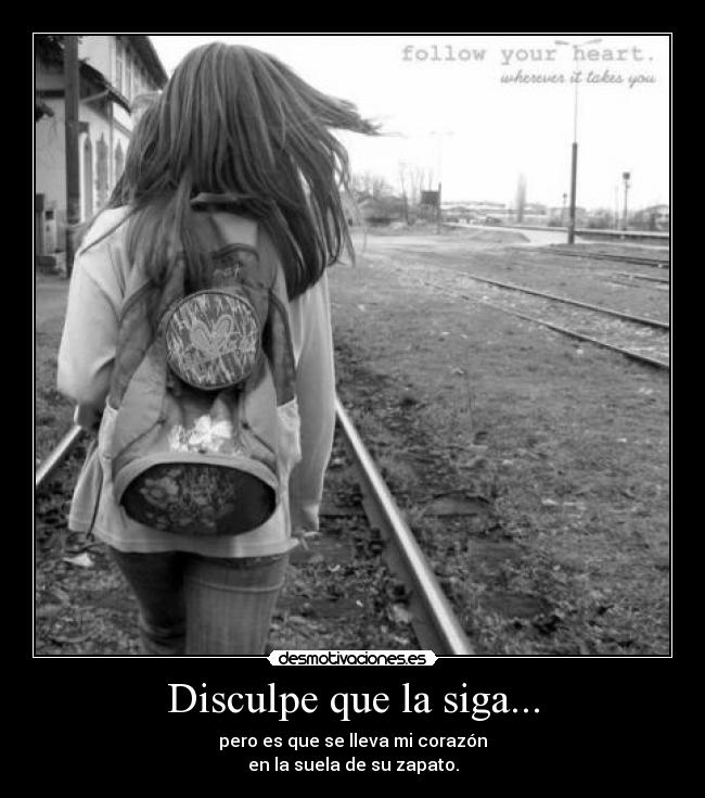 Disculpe que la siga... - 