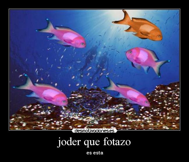 carteles jajajaja desmotivaciones