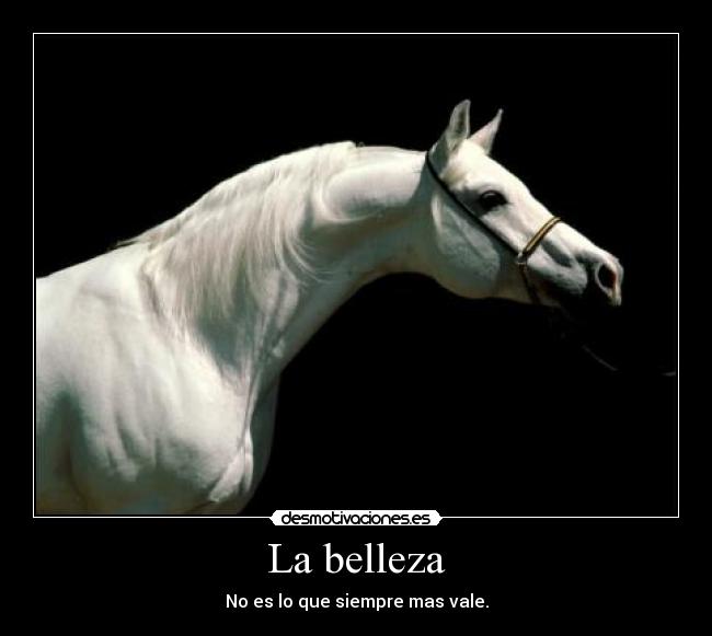 La belleza - No es lo que siempre mas vale.