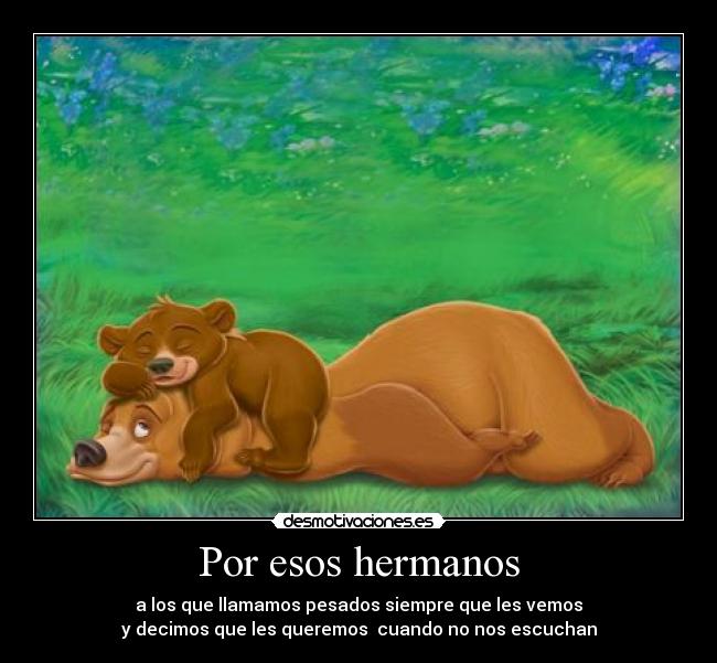 carteles hermanos desmotivaciones