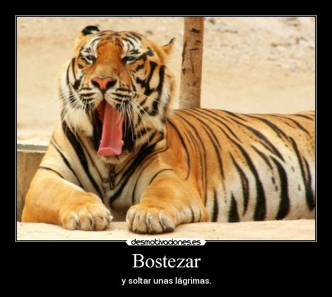 Bostezar - y soltar unas lágrimas.