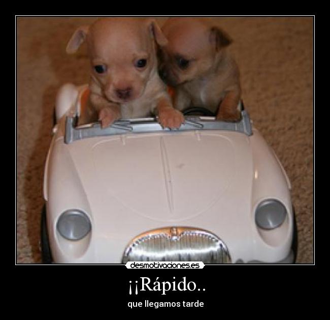 ¡¡Rápido.. - 