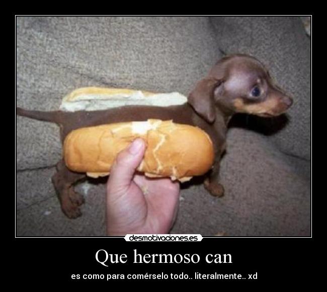 Que hermoso can - es como para comérselo todo.. literalmente.. xd