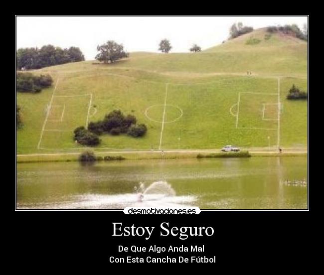 Estoy Seguro -