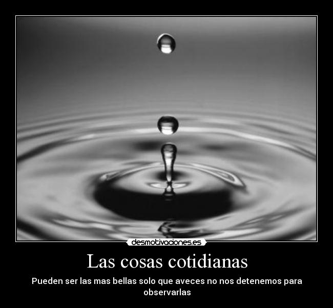 Las cosas cotidianas - Pueden ser las mas bellas solo que aveces no nos detenemos para observarlas
