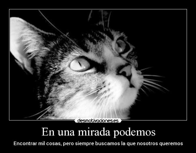 En una mirada podemos - Encontrar mil cosas, pero siempre buscamos la que nosotros queremos