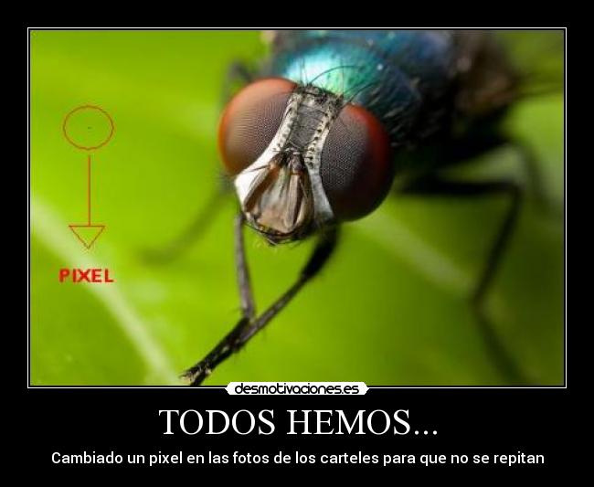 TODOS HEMOS... - 