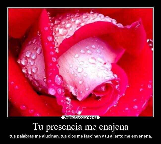 Tu presencia me enajena - 