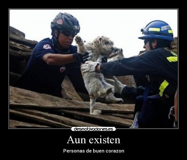 carteles hombres salvan perro buen corazon desmotivaciones