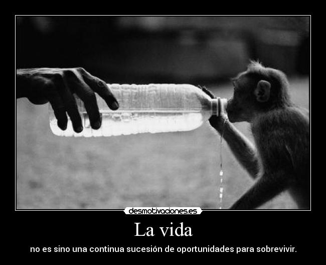 La vida - no es sino una continua sucesión de oportunidades para sobrevivir.