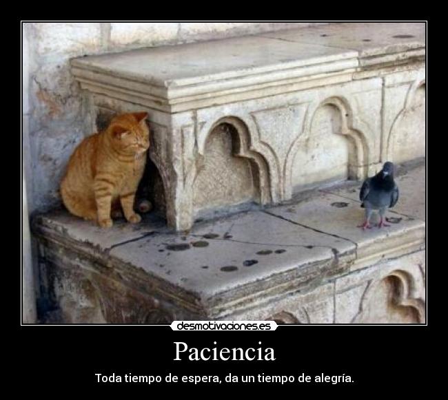 Paciencia - Toda tiempo de espera, da un tiempo de alegría.