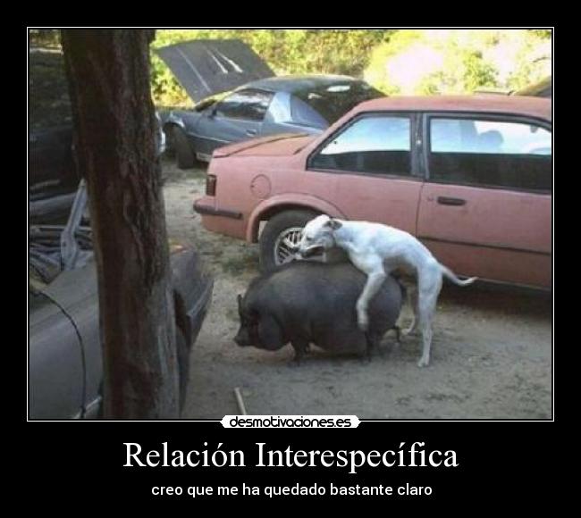 carteles rocoparo desmotivaciones