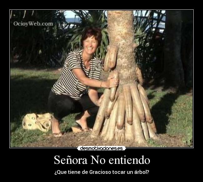 Señora No entiendo - ¿Que tiene de Gracioso tocar un árbol?