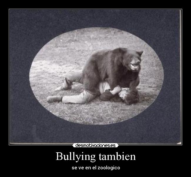 Bullying tambien - 