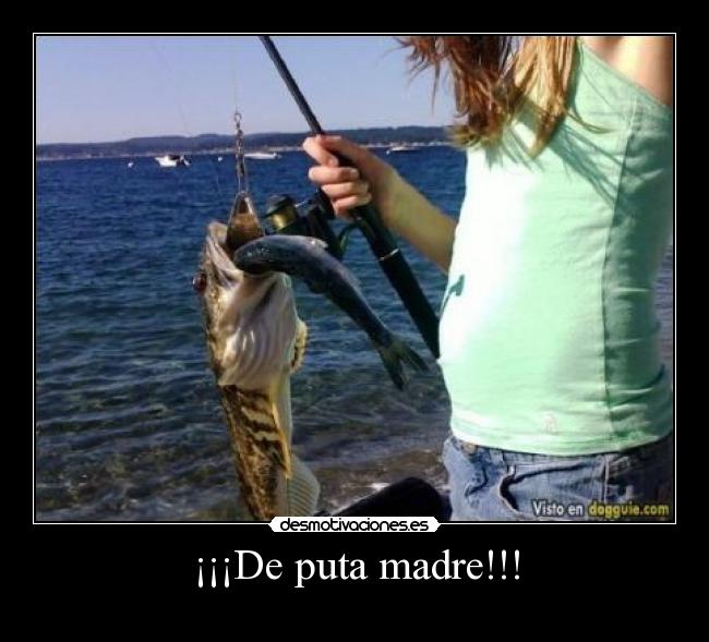¡¡¡De puta madre!!! - 