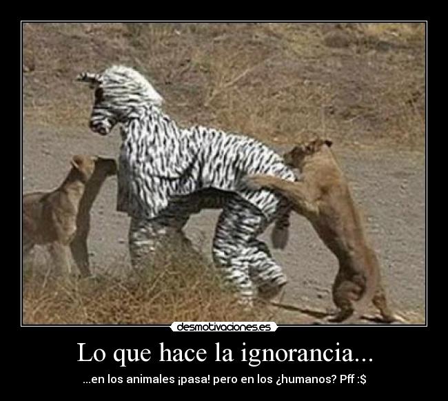 Lo que hace la ignorancia... - ...en los animales ¡pasa! pero en los ¿humanos? Pff :$