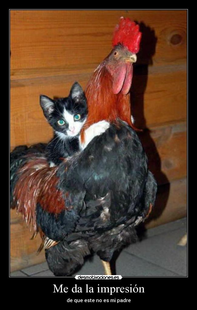 Me da la impresión - de que este no es mi padre