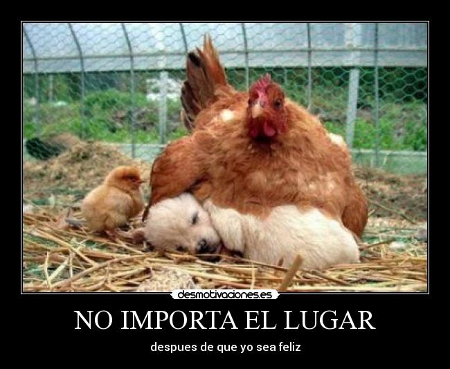 NO IMPORTA EL LUGAR -