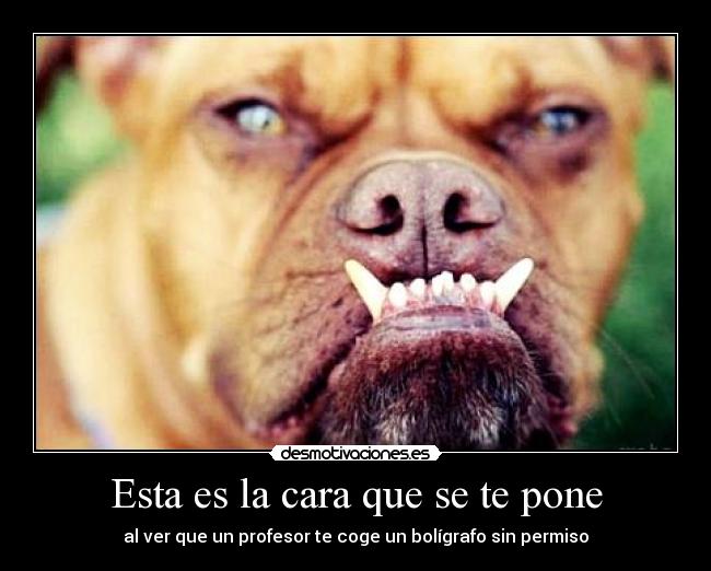 Esta es la cara que se te pone -