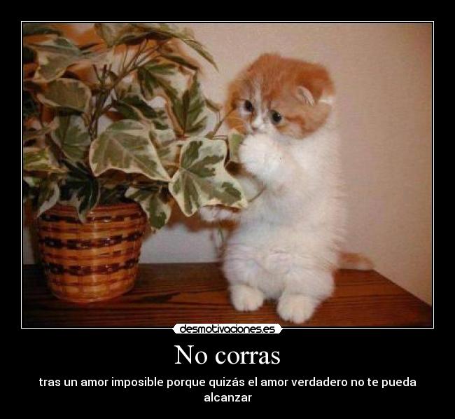 No corras -