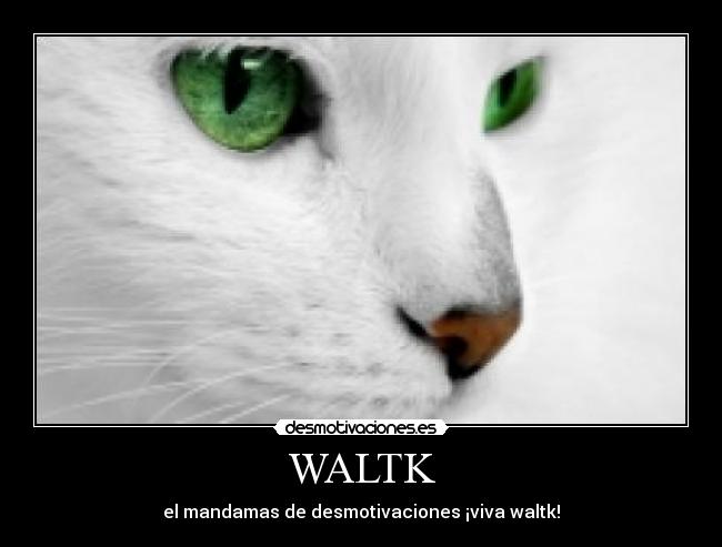 WALTK -