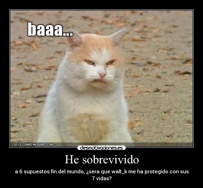 He sobrevivido - a 6 supuestos fin del mundo, ¿sera que walt_k me ha protegido con sus 7 vidas?