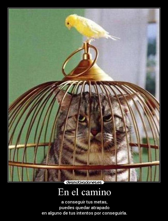 En el camino - a conseguir tus metas,
puedes quedar atrapado
en alguno de tus intentos por conseguirla.