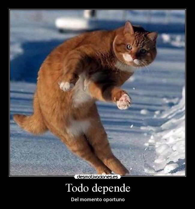 Todo depende - Del momento oportuno