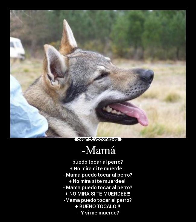 -Mamá - puedo tocar al perro?
+ No mira si te muerde...
- Mama puedo tocar al perro?
+ No mira si te muerdee!!
- Mama puedo tocar al perro?
+ NO MIRA SI TE MUERDEE!!!
-Mama puedo tocar al perro?
+ BUENO TOCALO!!!
- Y si me muerde?