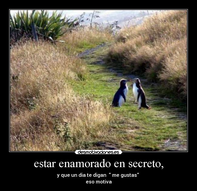 estar enamorado en secreto, - y que un dia te digan me gustas
eso motiva