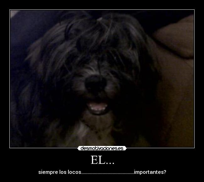 carteles desmotivaciones