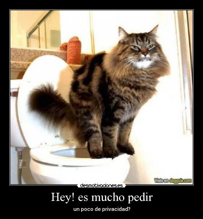 Hey! es mucho pedir -