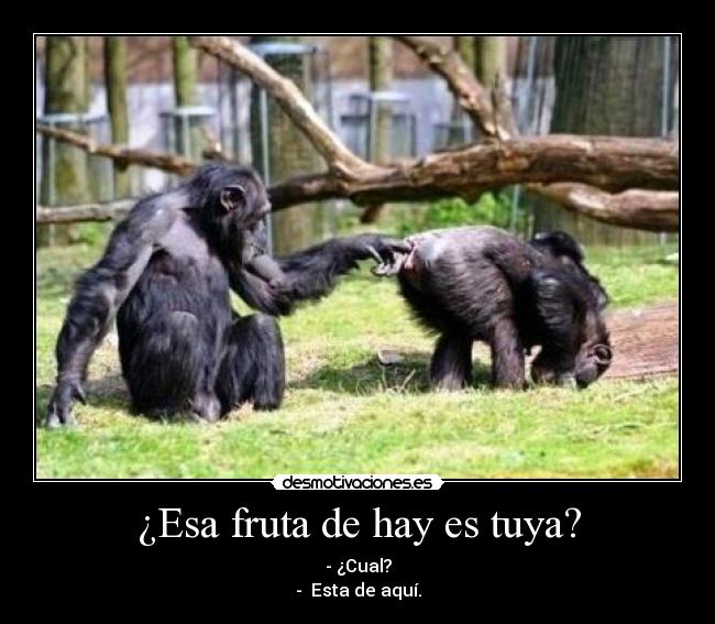 ¿Esa fruta de hay es tuya? - - ¿Cual?
-  Esta de aquí.