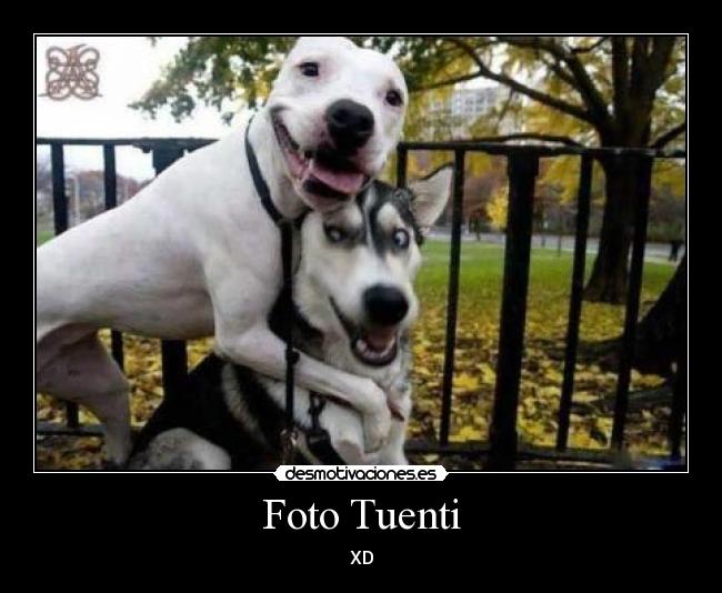 Foto Tuenti - XD